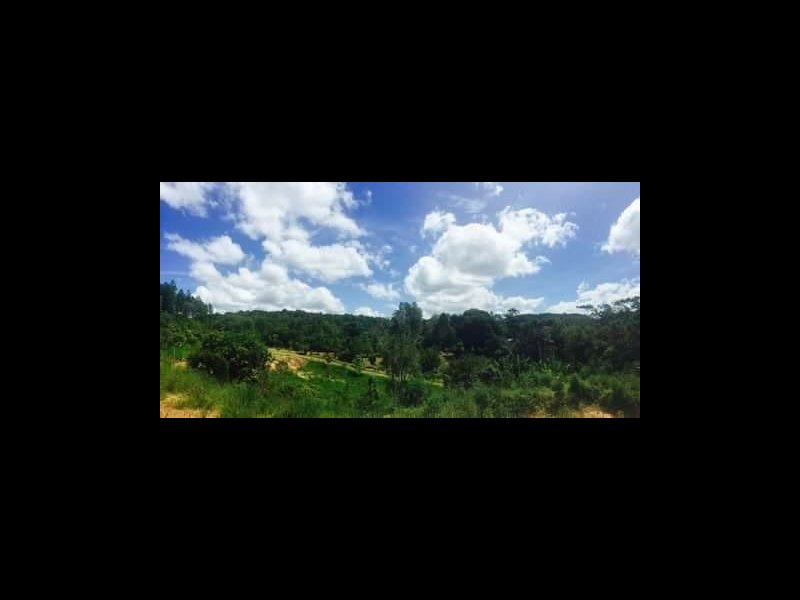 Sítio à venda Cachoeirinha com 33380m² e 4 quartos por R$ 550.000 - 413801968-dcef7a3a-85ba-449f-b006-ca4c3b013511.jpeg