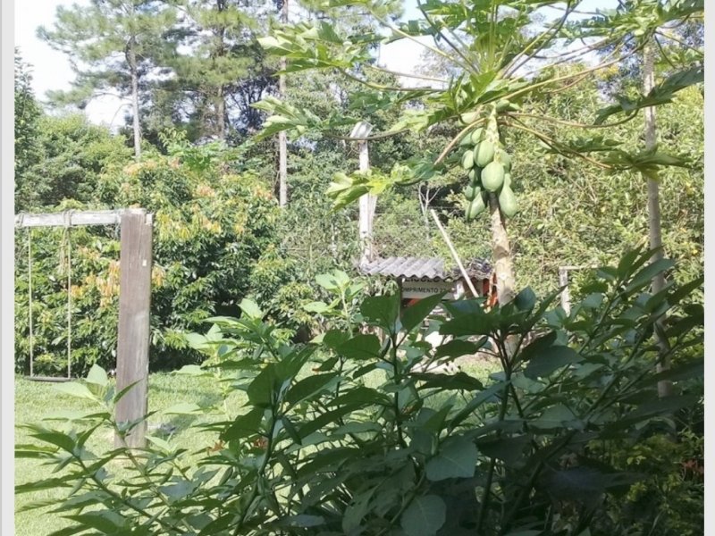 Sítio à venda Cachoeirinha com 33380m² e 4 quartos por R$ 550.000 - 938894173-3a16c701-13b9-4240-8a12-78a7f392af62.jpeg