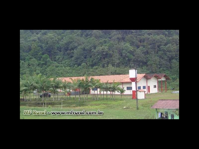 Comercial à venda Campina Grande do Sul com 24200m² e  quartos por R$ 1.000.000 - 1971578187-fabrica-de-palmito.jpg