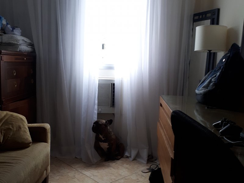 Apartamento à venda Fonseca com 65m² e 2 quartos por R$ 245.000 - 1339359626-20181001-155727.jpg