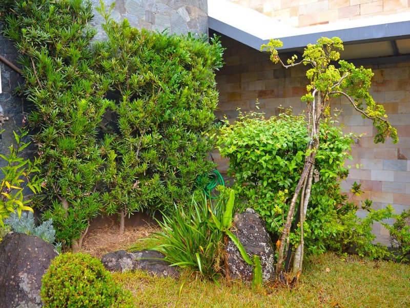 Casa à venda Vila Monumento com 400m² e 3 quartos por R$ 2.200.000 - 342103143-jardim-2.jpg