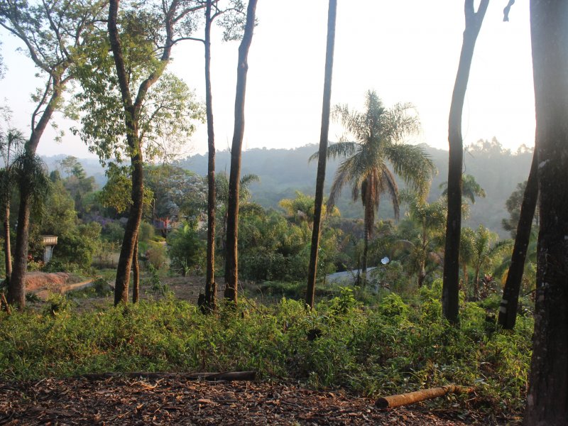 Sítio à venda Mato Dentro com 44000m² e 5 quartos por R$ 920.000 - 1519127573-img-8434.JPG