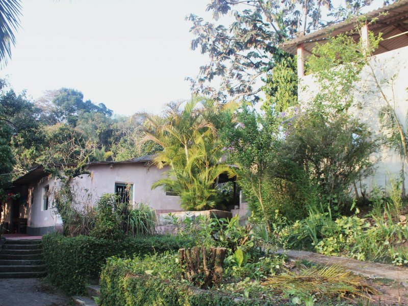 Sítio à venda Mato Dentro com 44000m² e 5 quartos por R$ 920.000 - 1737059431-img-8373.jpg
