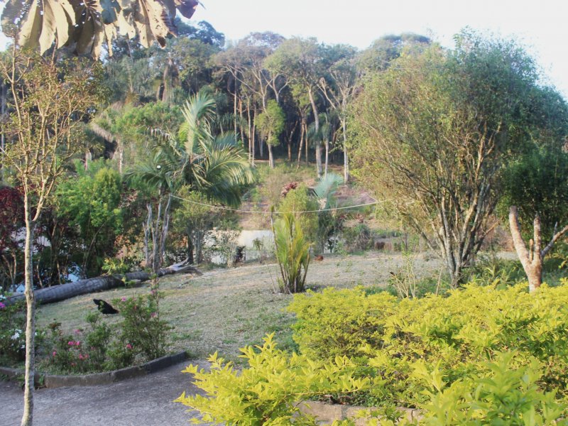 Sítio à venda Mato Dentro com 44000m² e 5 quartos por R$ 920.000 - 848816651-img-8382.jpg