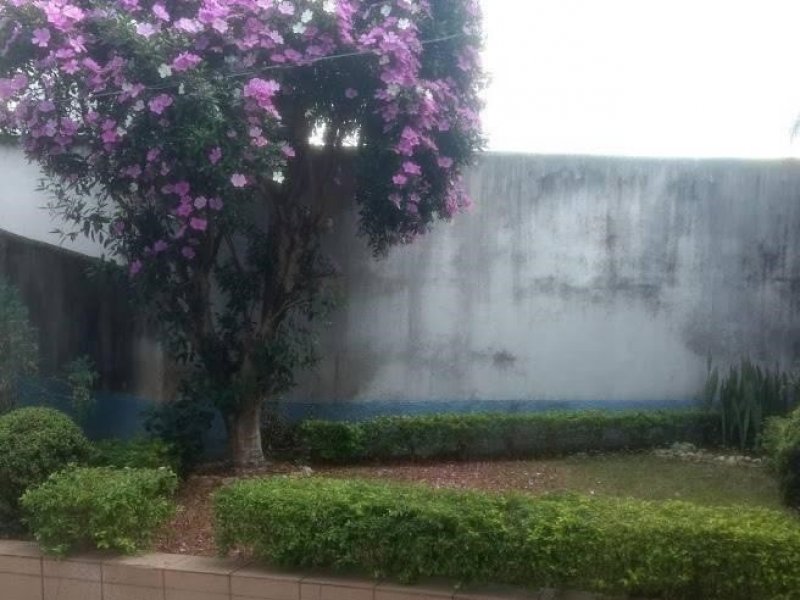Casa à venda Vila Aurora com 161m² e 3 quartos por R$ 700.000 - 1062465140-fundos.jpg