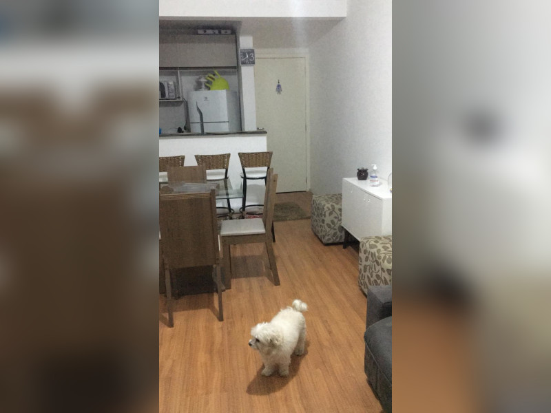 imóvel com 47m² - Parque Munhoz - São Paulo