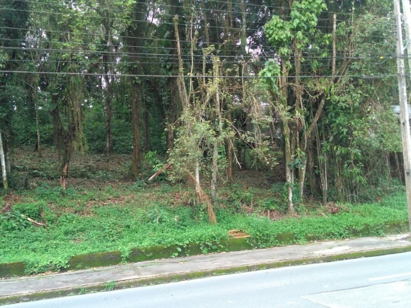 imóvel com 1750m² - Bom Retiro - Joinville