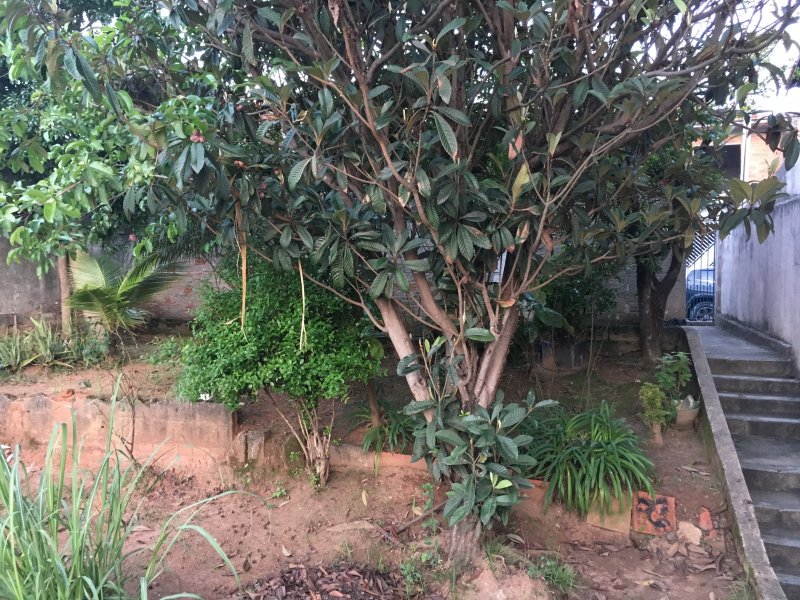 Casa à venda Jardim Santa Maria com 287m² e 2 quartos por R$ 380.000 - 1081275361-44fbe6dd-8851-4d4c-af03-03d8277610c6.jpeg