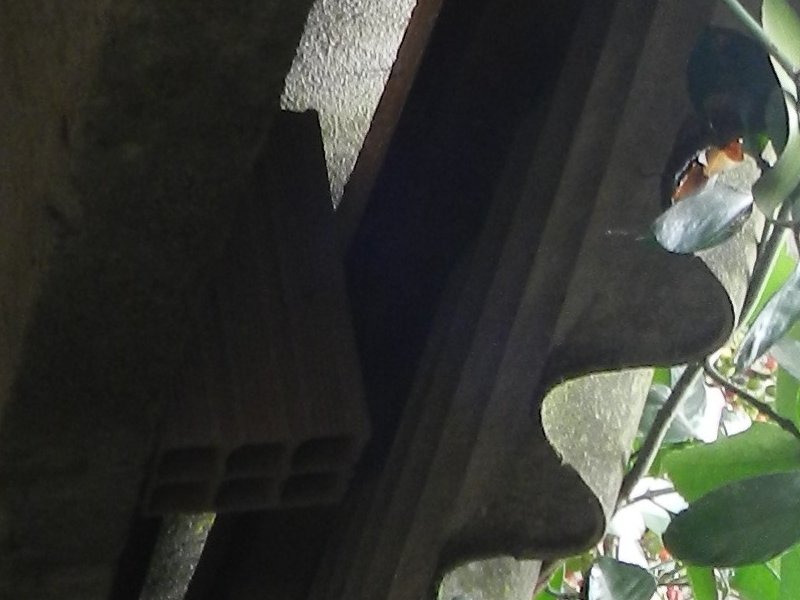 Casa à venda Cidade Tiradentes com 66m² e 3 quartos por R$ 240.000 - 156697628-dscn3289.JPG