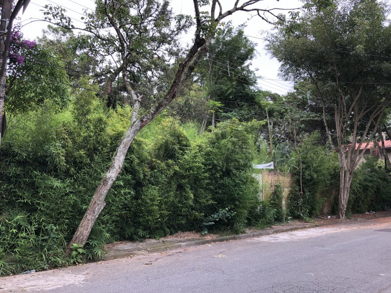 imóvel com 900m² - Jardim Morumbi - São Paulo