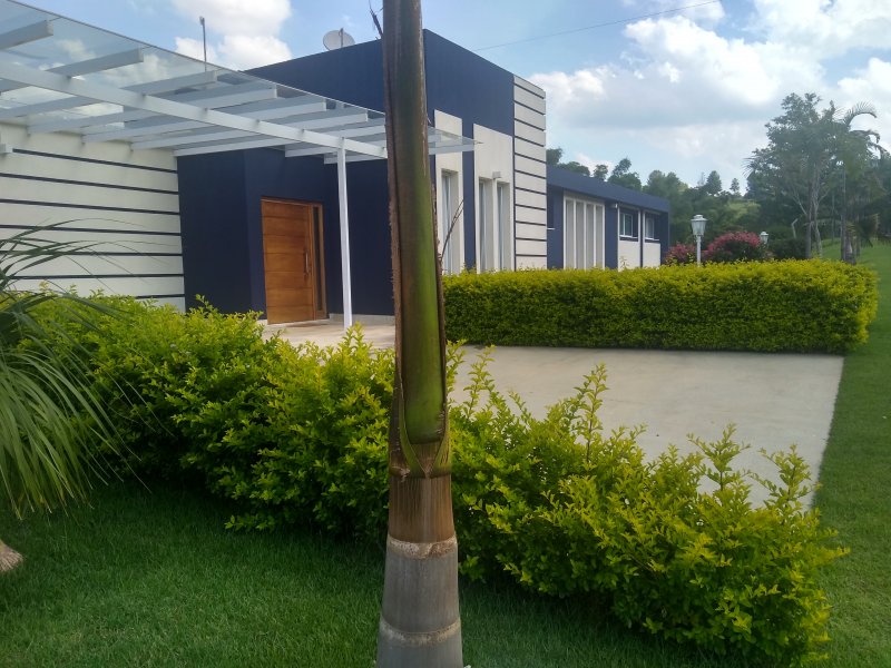 imóvel com 500m² - Cambuci - São Paulo