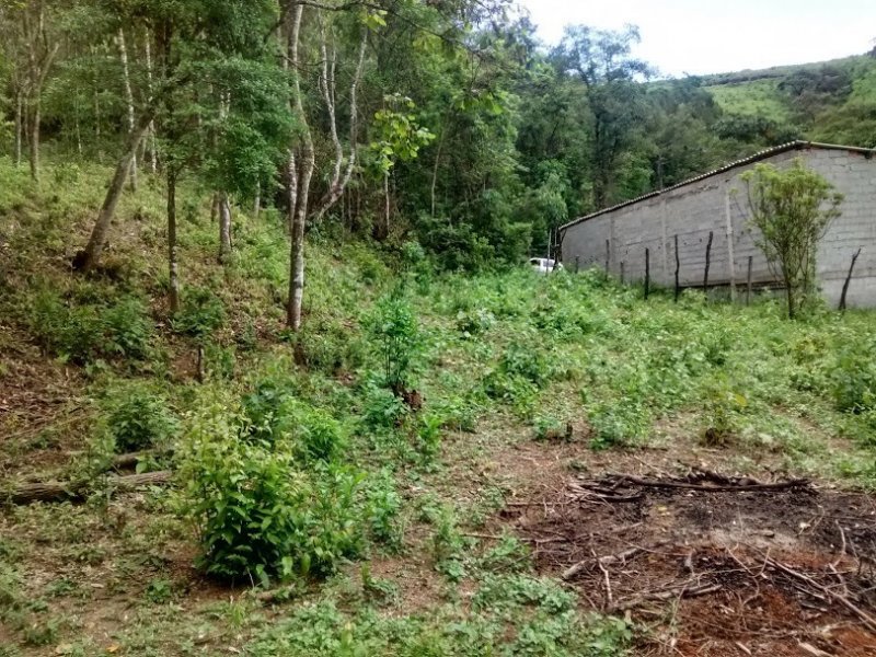 imóvel com 28525m² - Nossa Senhora do Rosario - Francisco Morato