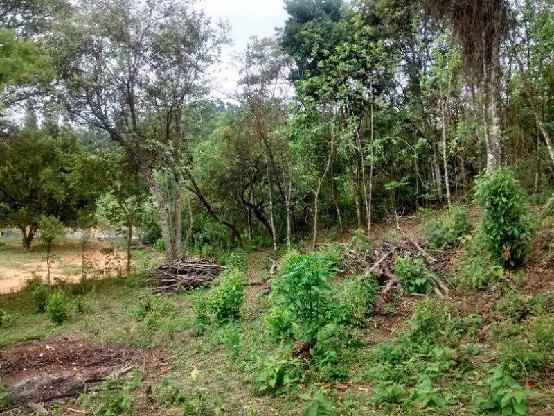 imóvel com 28525m² - Nossa Senhora do Rosario - Francisco Morato