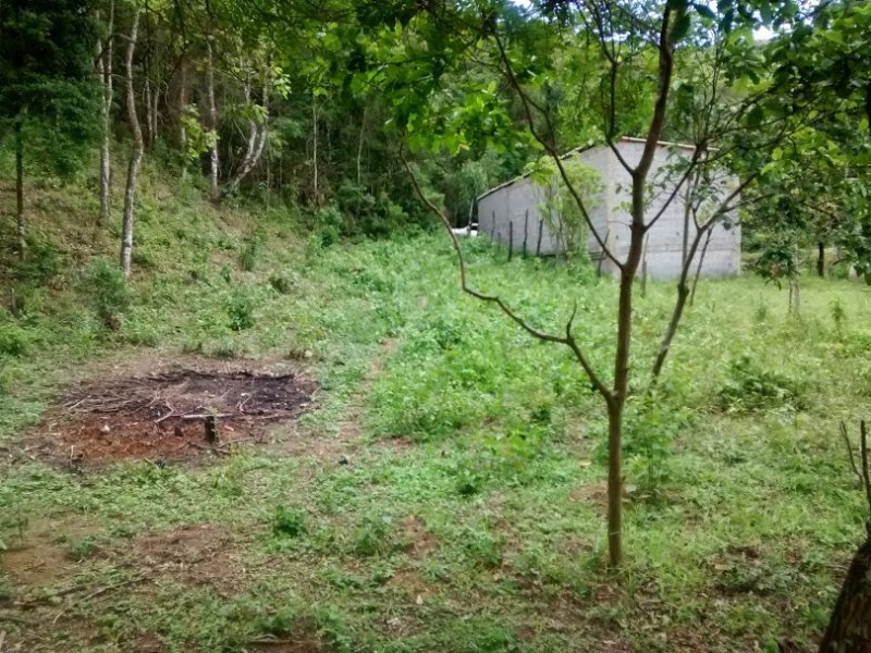 imóvel com 28525m² - Nossa Senhora do Rosario - Francisco Morato