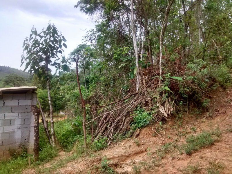 imóvel com 28525m² - Nossa Senhora do Rosario - Francisco Morato