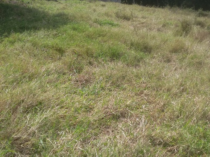 Terreno à venda Morro com 20000m² e  quartos por R$ 200.000 - 1822643304-20180815-115426.jpg