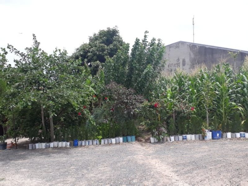 Terreno à venda Jardim Santa Maria com 256m² e  quartos por R$ 100.000 - 342906680-7667706f-d21d-4cff-8ab8-4552e82f2cf4.jpg