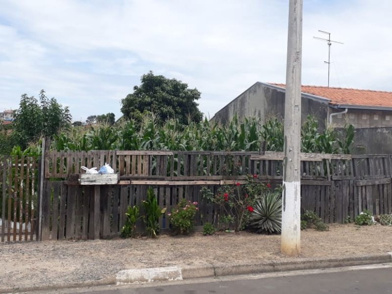 Terreno à venda Jardim Santa Maria com 256m² e  quartos por R$ 100.000 - 346275767-fac0d1b6-3616-4056-9ea1-f0c796c8ab8f.jpg