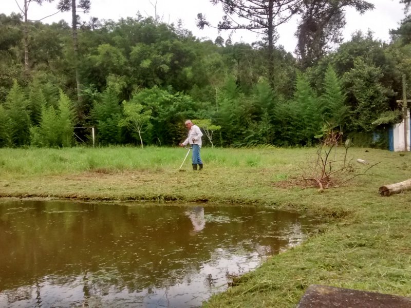 imóvel com 135000m² - Vila Sadokim - Guarulhos