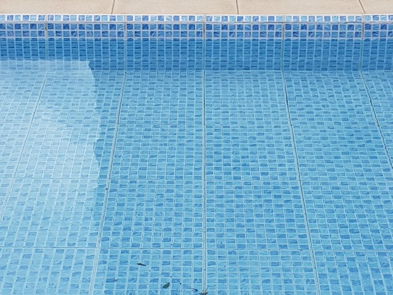 Apartamento à venda Vila Palmeiras com 56m² e 2 quartos por R$ 299.000 - 641843576-20181110-112432.jpg
