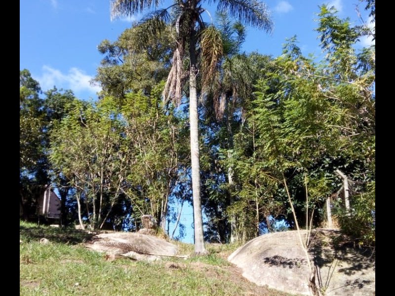 Apartamento à venda Jardim Nossa Senhora das Graças com 10500m² e 6 quartos por R$ 1.000.000 - 1034648564-whatsapp-image-2018-11-14-at-16.jpeg