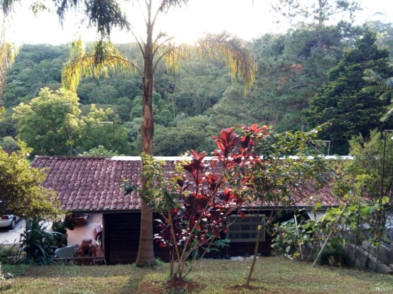 Apartamento à venda Jardim Nossa Senhora das Graças com 10500m² e 6 quartos por R$ 1.000.000 - 1345039173-whatsapp-image-2018-11-14-at-16.jpeg