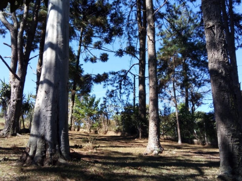 Apartamento à venda Jardim Nossa Senhora das Graças com 10500m² e 6 quartos por R$ 1.000.000 - 1707745300-whatsapp-image-2018-11-14-at-16.jpeg