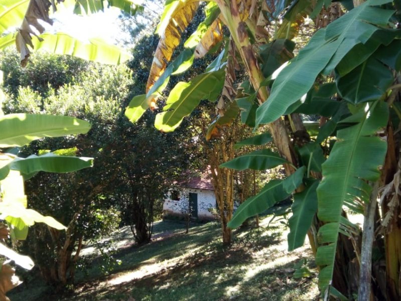 Apartamento à venda Jardim Nossa Senhora das Graças com 10500m² e 6 quartos por R$ 1.000.000 - 1779154317-whatsapp-image-2018-11-14-at-16.jpeg