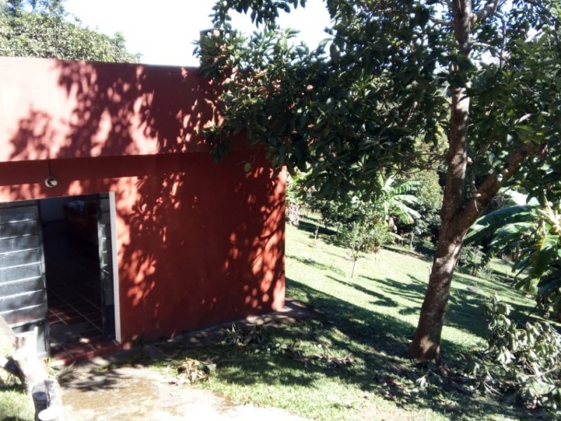 Apartamento à venda Jardim Nossa Senhora das Graças com 10500m² e 6 quartos por R$ 1.000.000 - 2035213200-whatsapp-image-2018-11-14-at-16.jpeg
