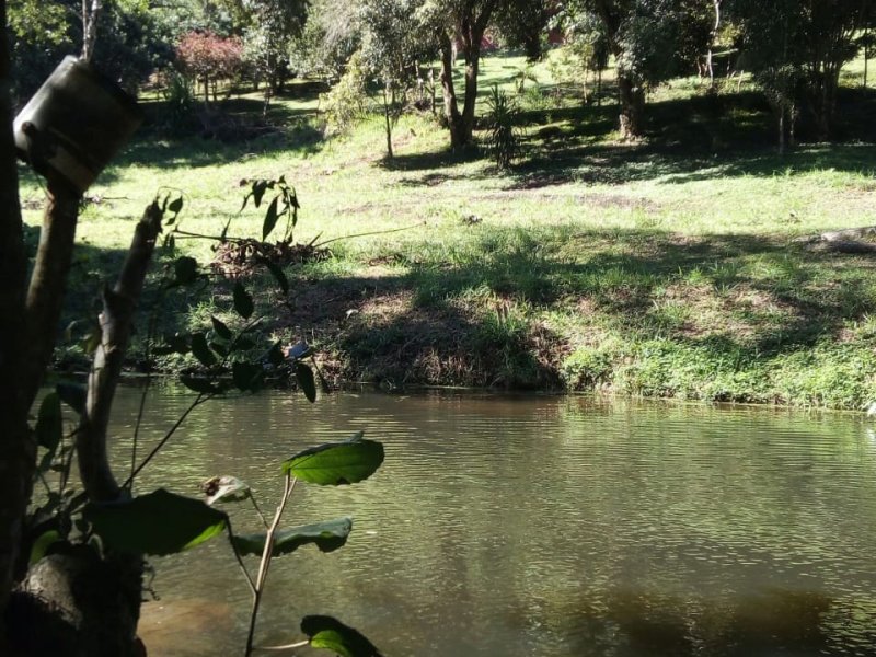 Apartamento à venda Jardim Nossa Senhora das Graças com 10500m² e 6 quartos por R$ 1.000.000 - 826887718-whatsapp-image-2018-11-14-at-16.jpeg