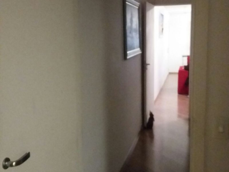 Casa à venda Jardim Guapira com 198m² e 5 quartos por R$ 1.100.000 - 1425838138-img-20180710-wa0073.jpg