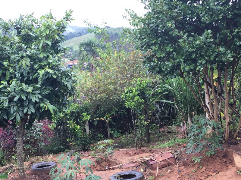 Chácara à venda Capelinha com 900m² e 1 quarto por R$ 120.000 - 1020380586-0f22859c-4e82-4f19-82c4-23af54ffd199.jpeg