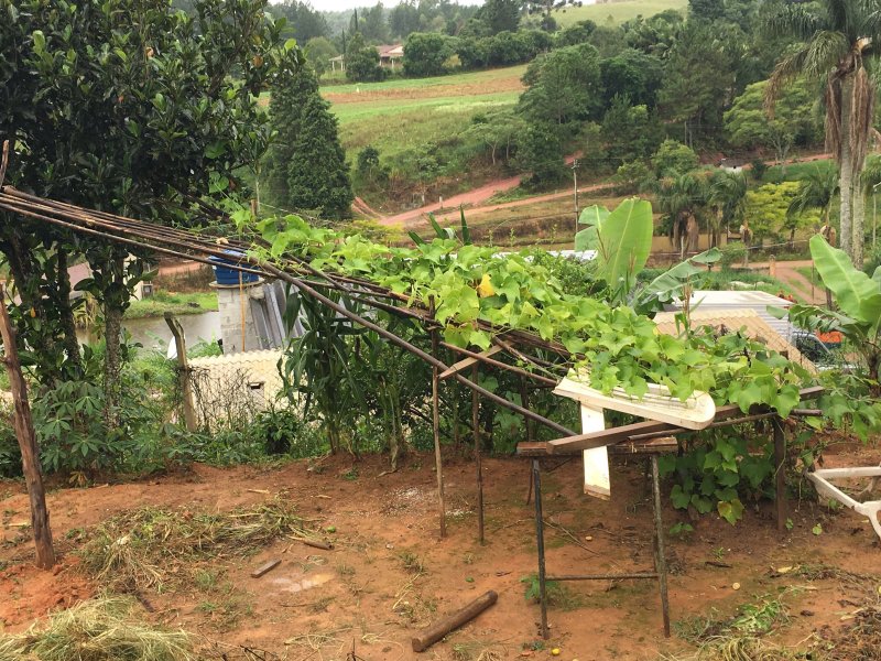 Chácara à venda Capelinha com 900m² e 1 quarto por R$ 120.000 - 864901247-7b8dc1b5-76c9-411f-b8f0-c91d341cf56e.jpeg