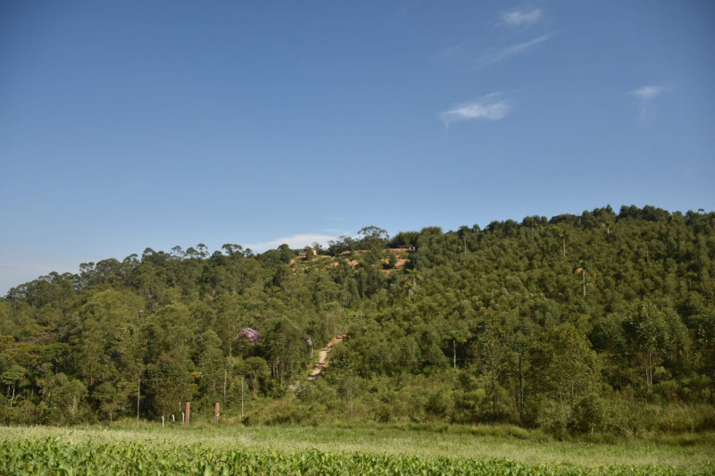 Sítio à venda quatinga com 372000m² e 2 quartos por R$ 3.720.000 - 1054633470-img-20220322-wa0026.jpg