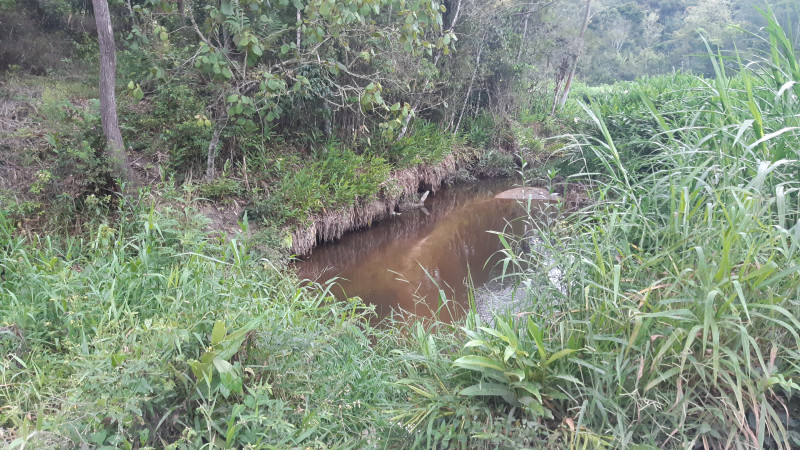 Sítio à venda quatinga com 372000m² e 2 quartos por R$ 3.720.000 - 1190597442-img-20210123-wa0023.jpeg