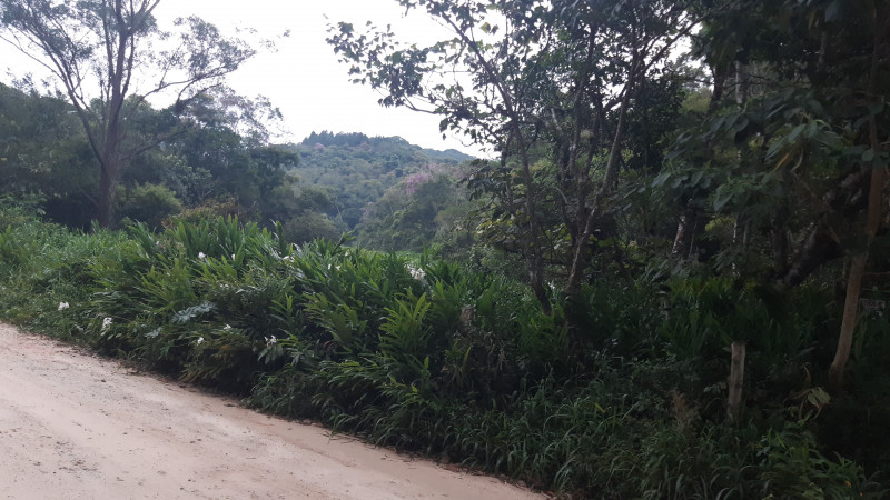 Sítio à venda quatinga com 372000m² e 2 quartos por R$ 3.720.000 - 1265977285-img-20210123-wa0021.jpeg