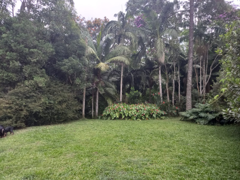 Sítio à venda quatinga com 372000m² e 2 quartos por R$ 3.720.000 - 1350987485-img-20220219-wa0016.jpg