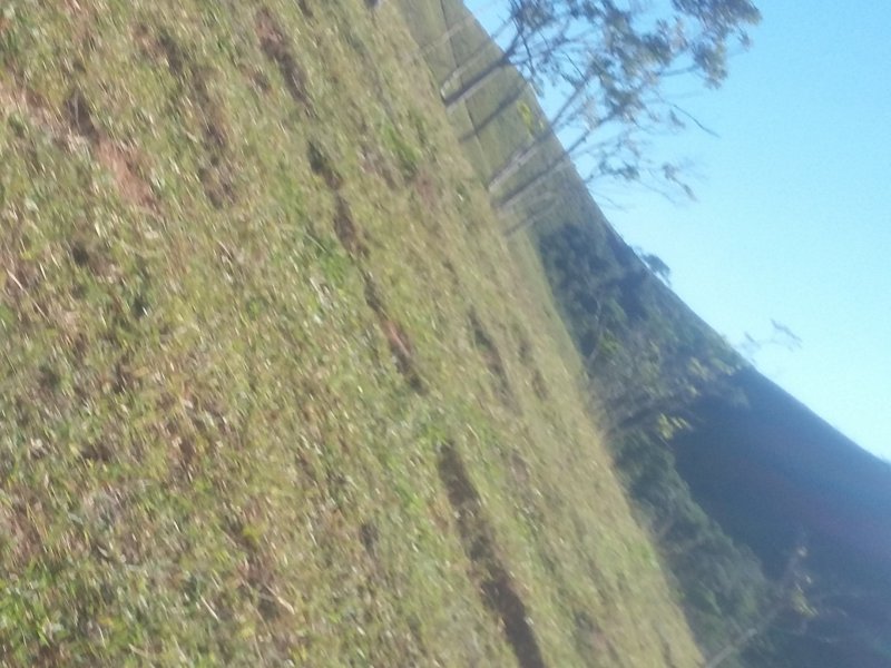 Sítio à venda quatinga com 372000m² e 2 quartos por R$ 3.720.000 - 1542299606-20180602-085121.jpg