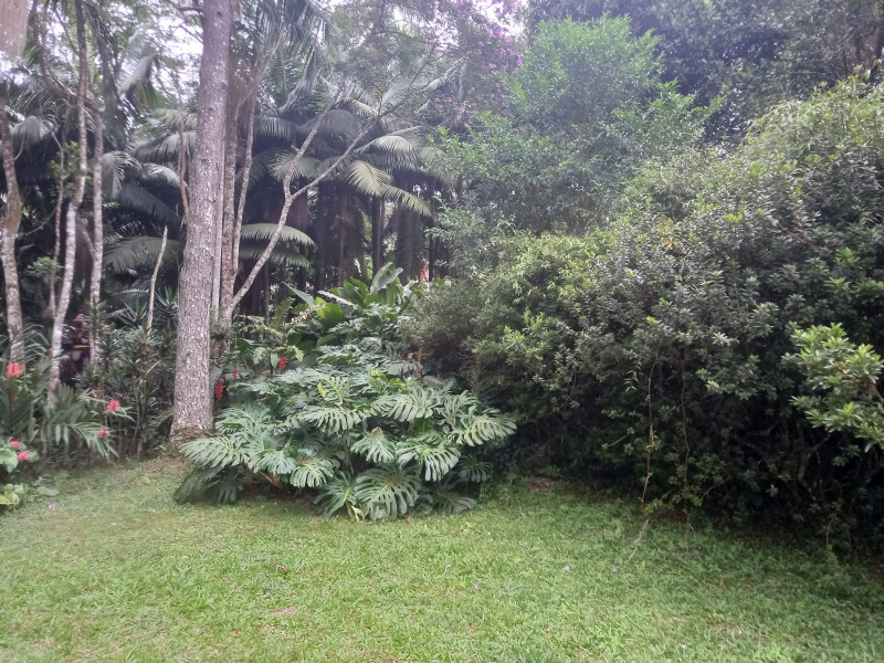 Sítio à venda quatinga com 372000m² e 2 quartos por R$ 3.720.000 - 1925451891-img-20220219-wa0013.jpg