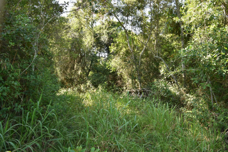 Sítio à venda quatinga com 372000m² e 2 quartos por R$ 3.720.000 - 2063094533-img-20220322-wa0023.jpg