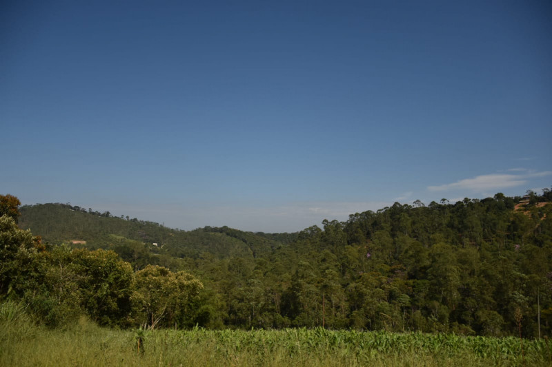 Sítio à venda quatinga com 372000m² e 2 quartos por R$ 3.720.000 - 257611509-img-20220322-wa0022.jpg