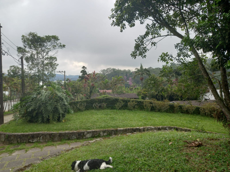 Sítio à venda quatinga com 372000m² e 2 quartos por R$ 3.720.000 - 303569756-img-20220219-wa0011.jpg