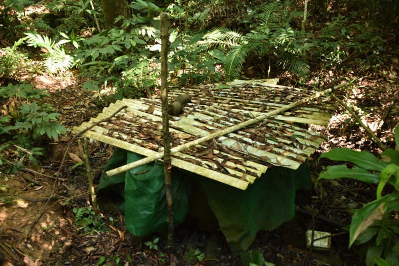 Sítio à venda quatinga com 372000m² e 2 quartos por R$ 3.720.000 - 34280219-img-20220322-wa0018.jpg