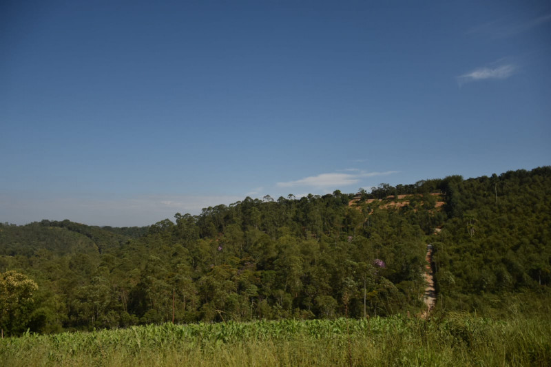 Sítio à venda quatinga com 372000m² e 2 quartos por R$ 3.720.000 - 391737009-img-20220322-wa0021.jpg