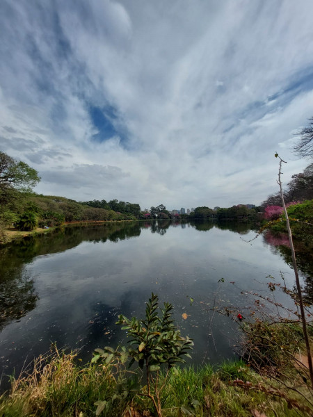 Sítio à venda quatinga com 372000m² e 2 quartos por R$ 3.720.000 - 420452166-img-20220709-wa0011.jpg