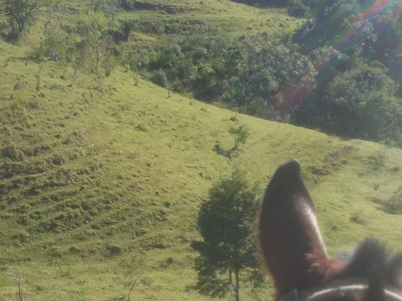 Sítio à venda quatinga com 372000m² e 2 quartos por R$ 3.720.000 - 723721176-img-20180602-wa0016.jpeg