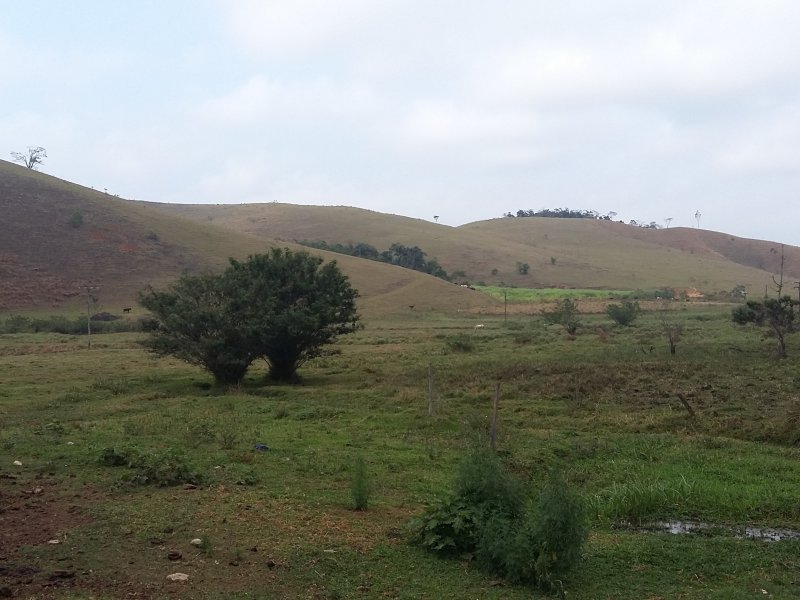 Sítio à venda quatinga com 372000m² e 2 quartos por R$ 3.720.000 - 780965984-20160917-084427.jpg