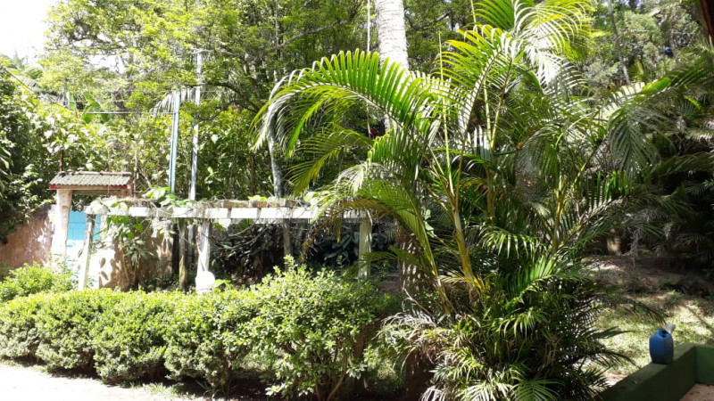 Sítio à venda quatinga com 372000m² e 2 quartos por R$ 3.720.000 - 902120206-img-20220221-wa0018.jpg