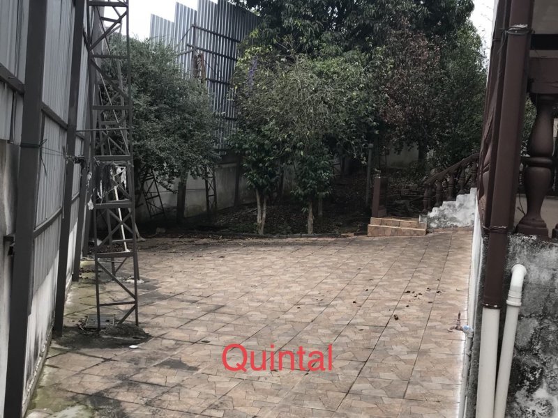imóvel com 770m² - Parque Bologne - São Paulo