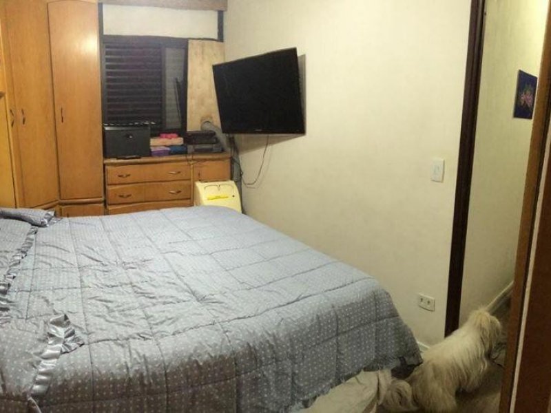 imóvel com 79m² - Vila Pirituba - São Paulo